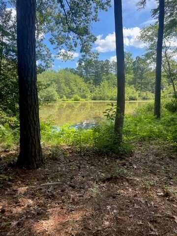 Lot 74 Country Club Drive, Gasburg, VA 23857