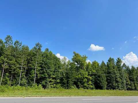 111.6 Ac Huell Matthews Highway, South Boston, VA 24592