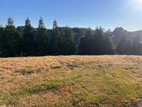 247 Tuscan Ridge Trail, INMAN, SC 29349