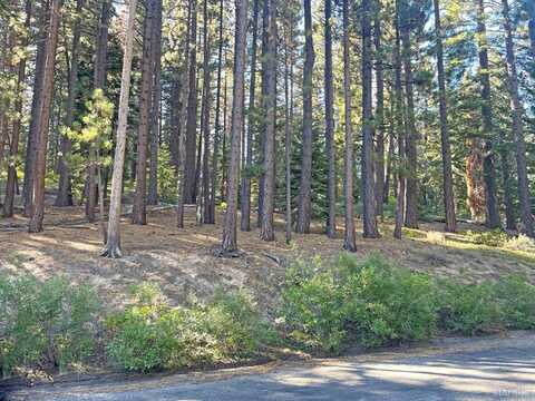 1541 Oflyng Drive, South Lake Tahoe, CA 96150