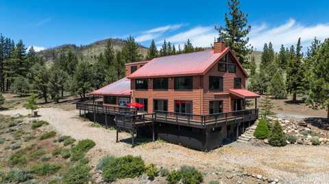 245 Hot Springs Rd, Markleeville, CA 96120