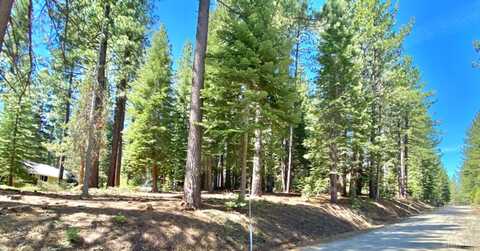 1593 Plumas Circle, South Lake Tahoe, CA 96150