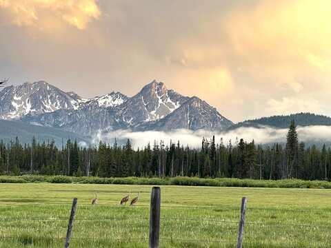 Highway 21 & Cow Camp Rd, Stanley, ID 83278