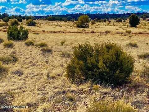 Tbd Hyde Park Rd 9.92 Acres, Seligman, AZ 86337