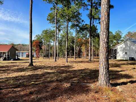 8188 Harvel Pond Rd, Donalsonville, GA 39845