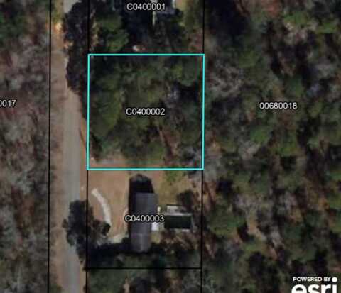 000 Loblolly Ln NE, Cairo, GA 39828