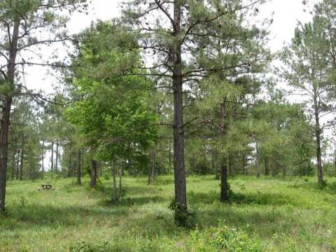 Lot 32 Mountain View Way, Bainbridge, GA 39819