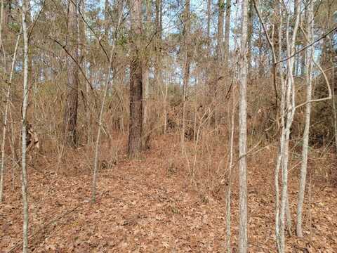 Lot #9 Parker Drive, Summit, MS 39666