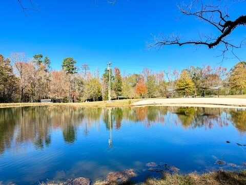 1021 Firefly Lane, Summit, MS 39666