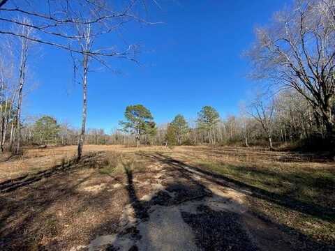 40 Clarence Bullock Rd, Tylertown, MS 39667