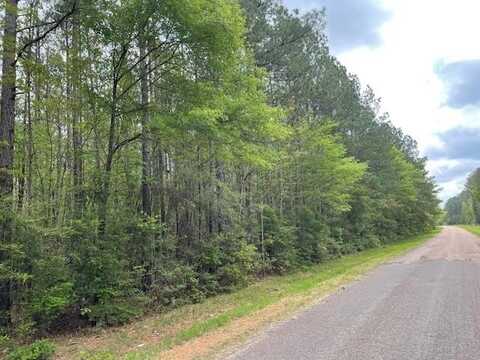 0000 Centerville Rd, Magnolia, MS 39652