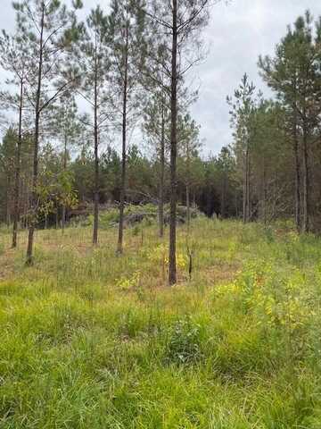 000 Fenn Road, Smithdale, MS 39664