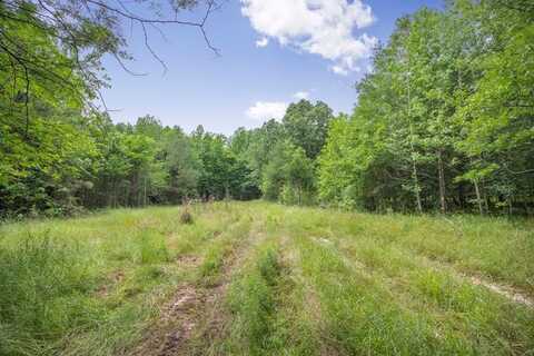 1600 Betigheimer Rd, Other, MS 39066