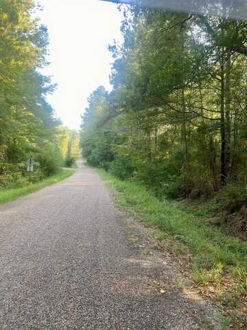 000 Hulon Brister Road, Jayess, MS 39641