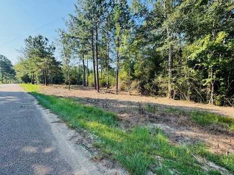 TBD Elmer Magee Road, Other, LA 70438