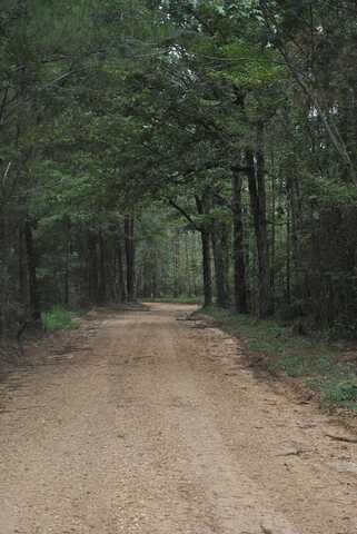 TBD Rials Road, Hazlehurst, MS 39083