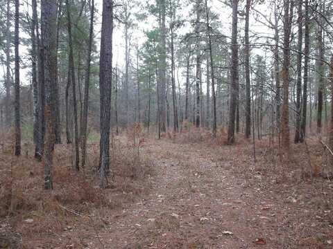 TBD Homochitto Forrest Rd. 104D, Meadville, MS 39653