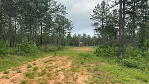 0 Meadville Road, Liberty, MS 39645