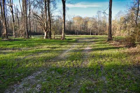 Tract 3A LA Hwy 967, Saint Francisville, LA 70775