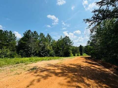 TBD Muddy Springs Road, Magnolia, MS 39652