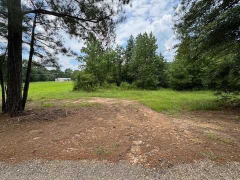 0 Ramsey/Harper College Rd, Gloster, MS 39638