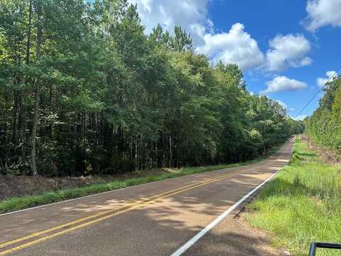 00 HWY 563, Woodville, MS 39669