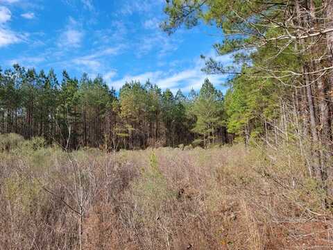 Lot #1 Ava Lane, Summit, MS 39666