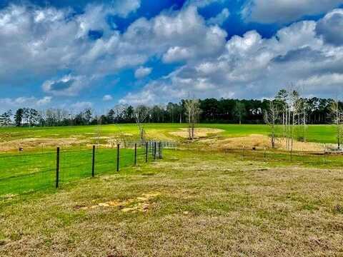 311 Speights, Bassfield, MS 39421