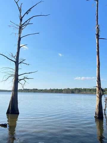 TBD Lakeshore Dr, Woodville, MS 39669