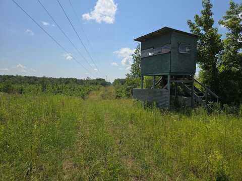 000 Lewis Road, Mc Call Creek, MS 39647