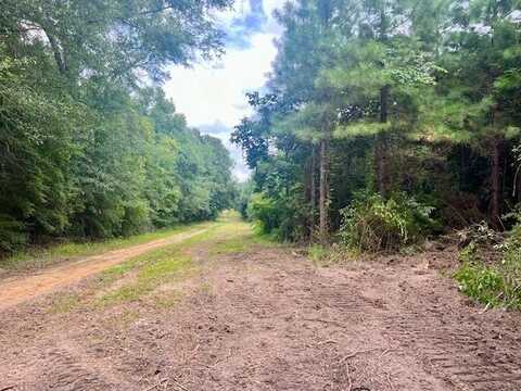 00 Tynes Road, Sandy Hook, MS 39478