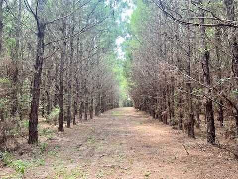 0000 Military Road, Sandy Hook, MS 39478