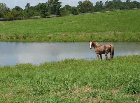 XX2 Hwy 44, Summit, MS 39666