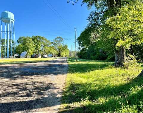 0 MUNICIPAL DR/MCDANIEL ST, Centreville, MS 39631