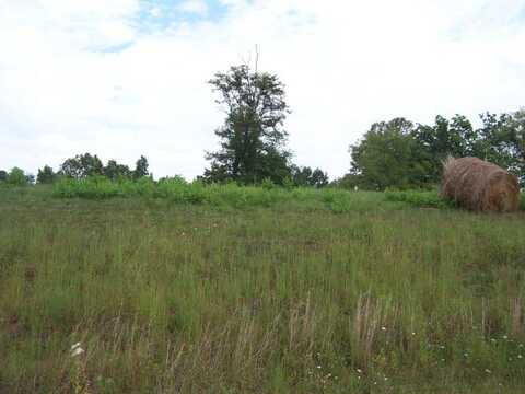 0 Lake Bend Court, Lot 31, Abingdon, VA 24211