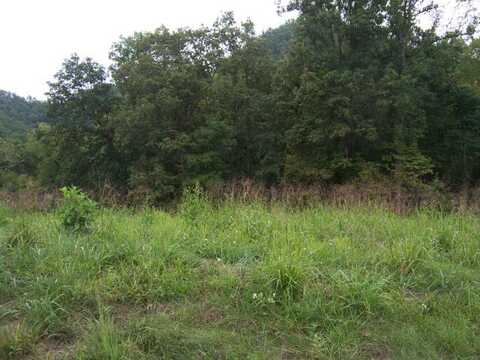 0 Lake Pointe Drive, Lot 7, Abingdon, VA 24211