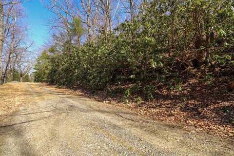 F30- F31 Black Gum Trail, Fancy Gap, VA 24328