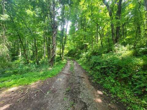 Tbd Dorsey Lane, Tazewell, VA 24651