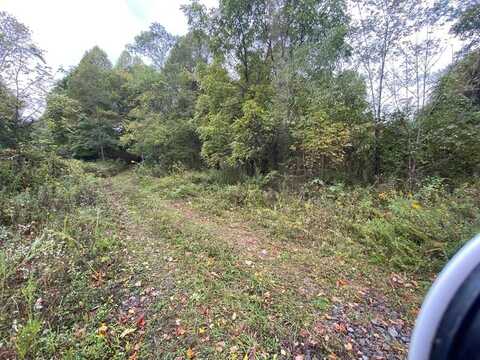 Tbd Bandy Rd / Whitaker Ridge area, Bandy, VA 24602