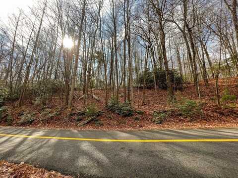 Lot 45 Southern View Trail, Fancy Gap, VA 24328