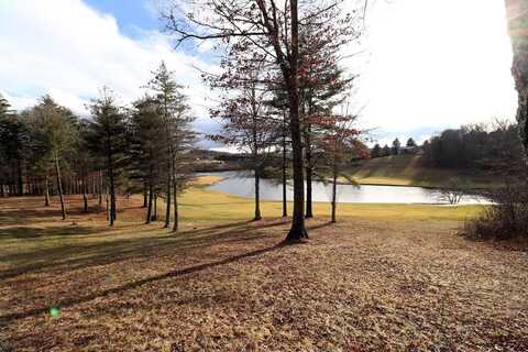 Tbd Manor House Road, Laurel Fork, VA 24352