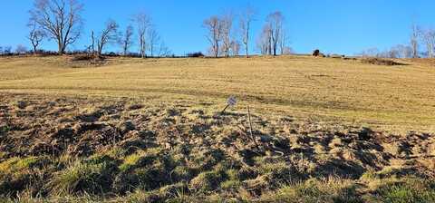 Tbd Lot 14, Old Saltworks Road, Meadowview, VA 24361