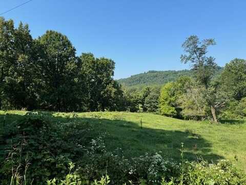 1249 Little Bear Trail, Cana, VA 24317