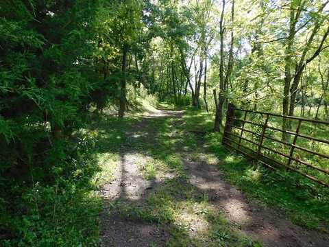 Tbd Slate Springs Branch Road, Wytheville, VA 24382