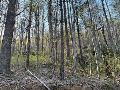 Tbd Briar Rock Trail, Fancy Gap, VA 24328