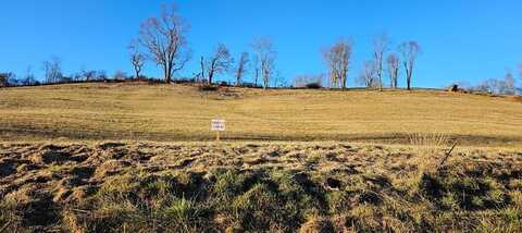 Tbd Lot 13, Old Saltworks Road, Meadowview, VA 24361