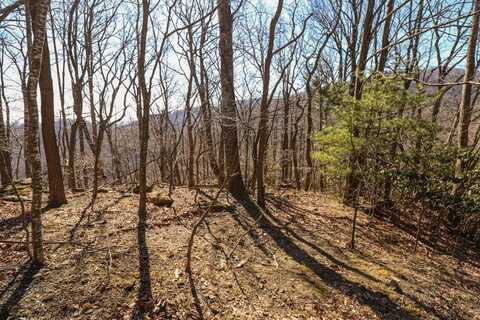 Lot 75 Black Gum Trail, Fancy Gap, VA 24328