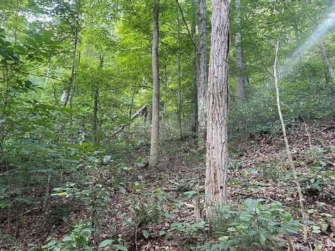 Tbd Smith Creek Rd, Abingdon, VA 24210