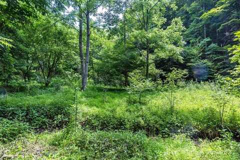 Lot 9 Lone Star Road, Bristol, VA 24202