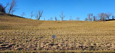 Tbd Lot 8, Old Saltworks Road, Meadowview, VA 24361